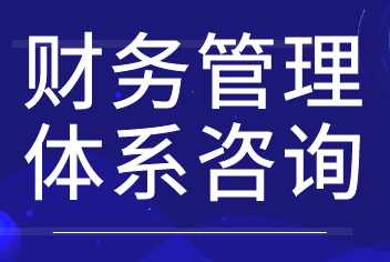 財務咨詢《財務管理體系咨詢》