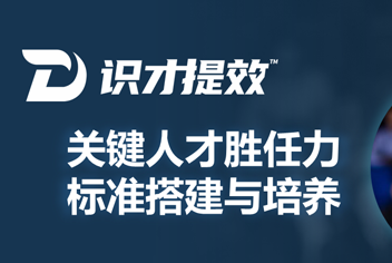 《關鍵人才勝任力 標準搭建與培養》